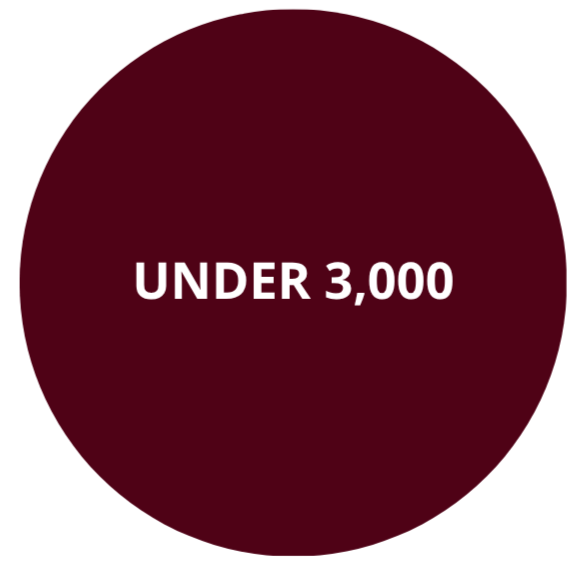 UNDER 3000