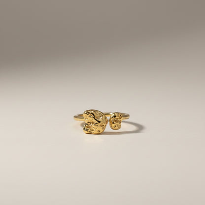 Pebble Ring