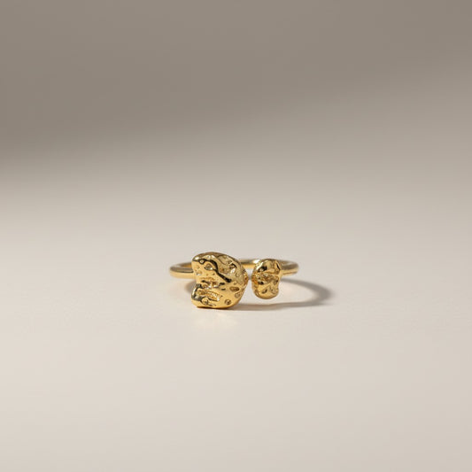 Pebble Ring