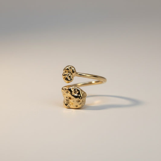 Pebble Ring